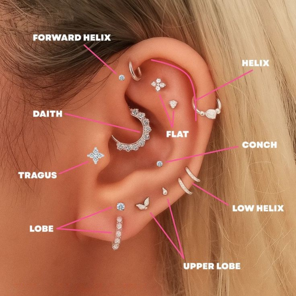 Piercing oreille : douleur selon l’emplacement (comparatif complet)