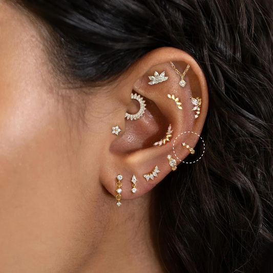 Anneau Conch Or 18K • Piercing oreille