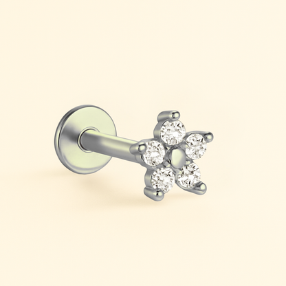 Puces d’Oreille Or 18K • Tragus Piercing