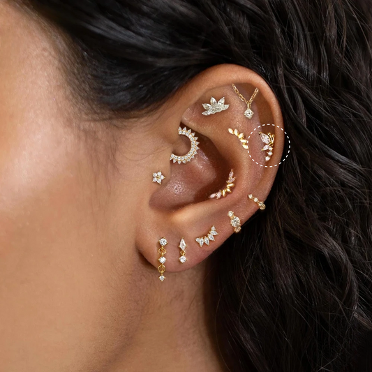 Puce d’Oreille Papillon • Or 18K